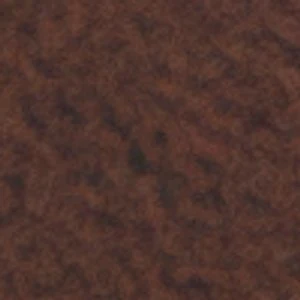 Aila - Image 2