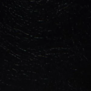Allee - Image 2
