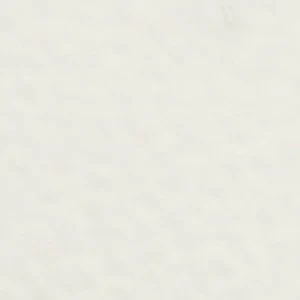 Allly - Image 2