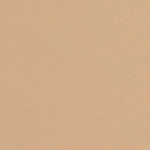 Azita - Image 2