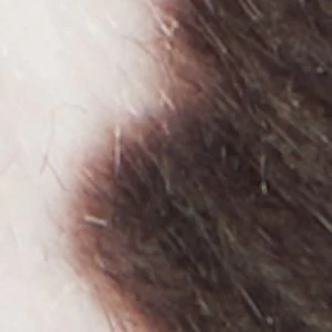 Azurra - Image 2