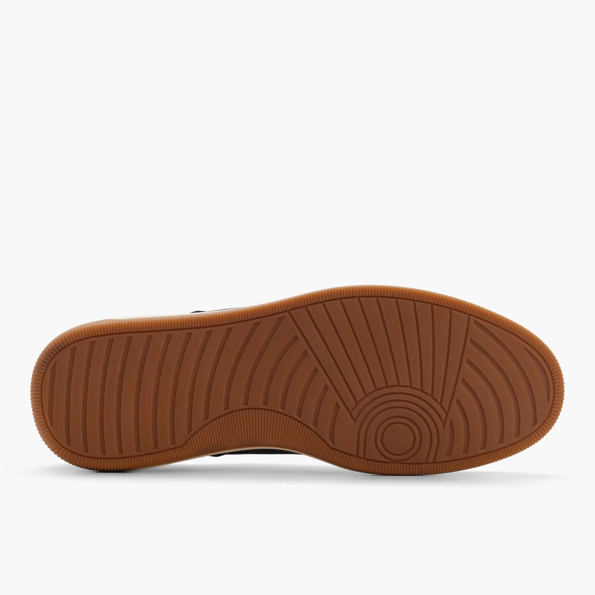 Bellis - Image 7