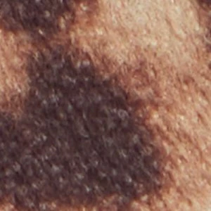 Calli - Image 2