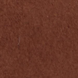 Calli - Image 2