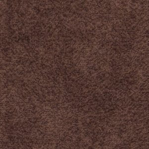 Calliiope - Image 2