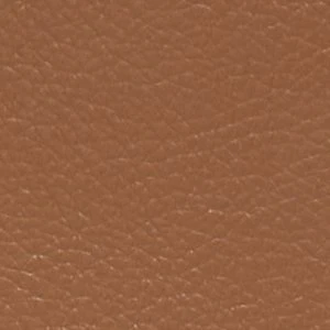 Calliiope - Image 5