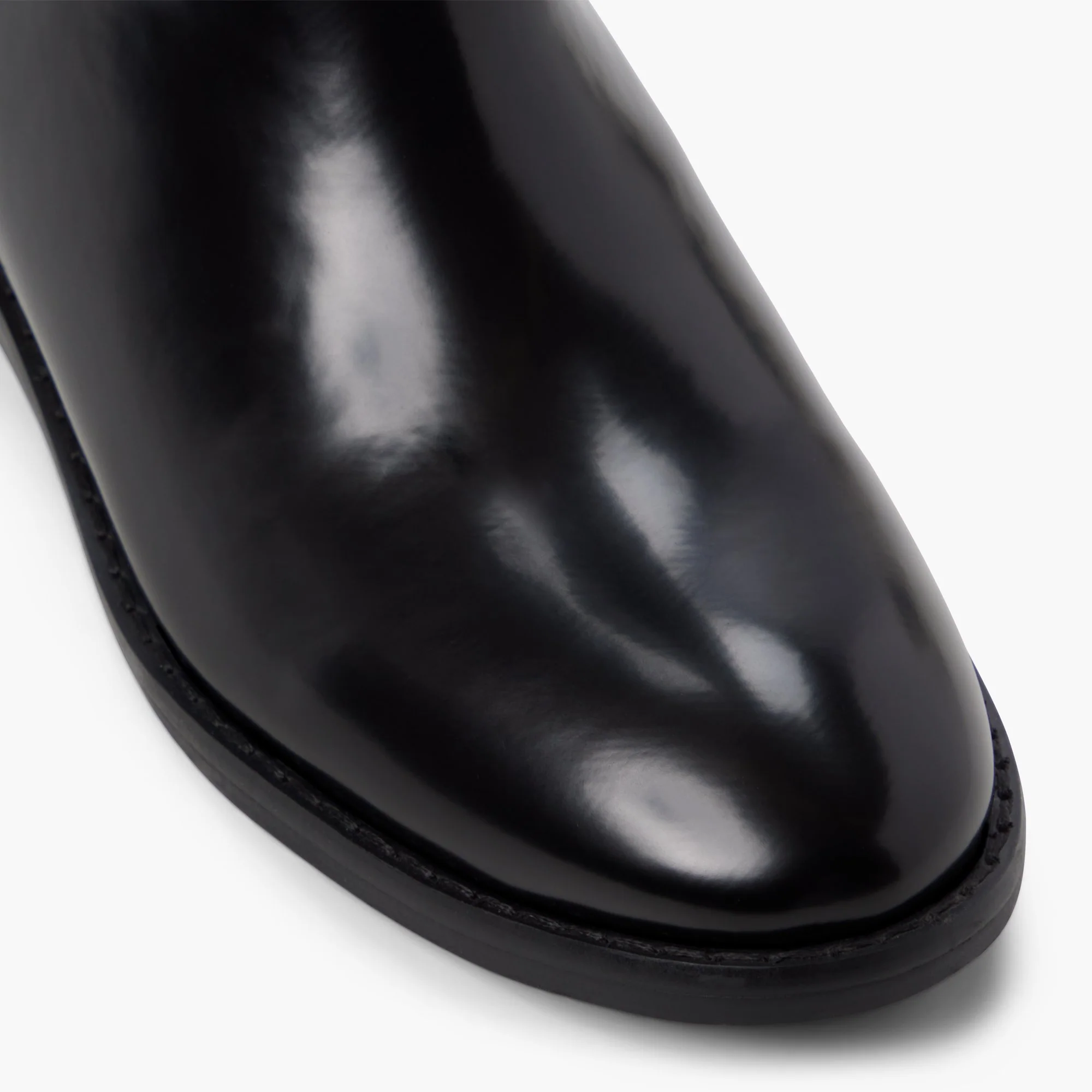 Canter - Image 6