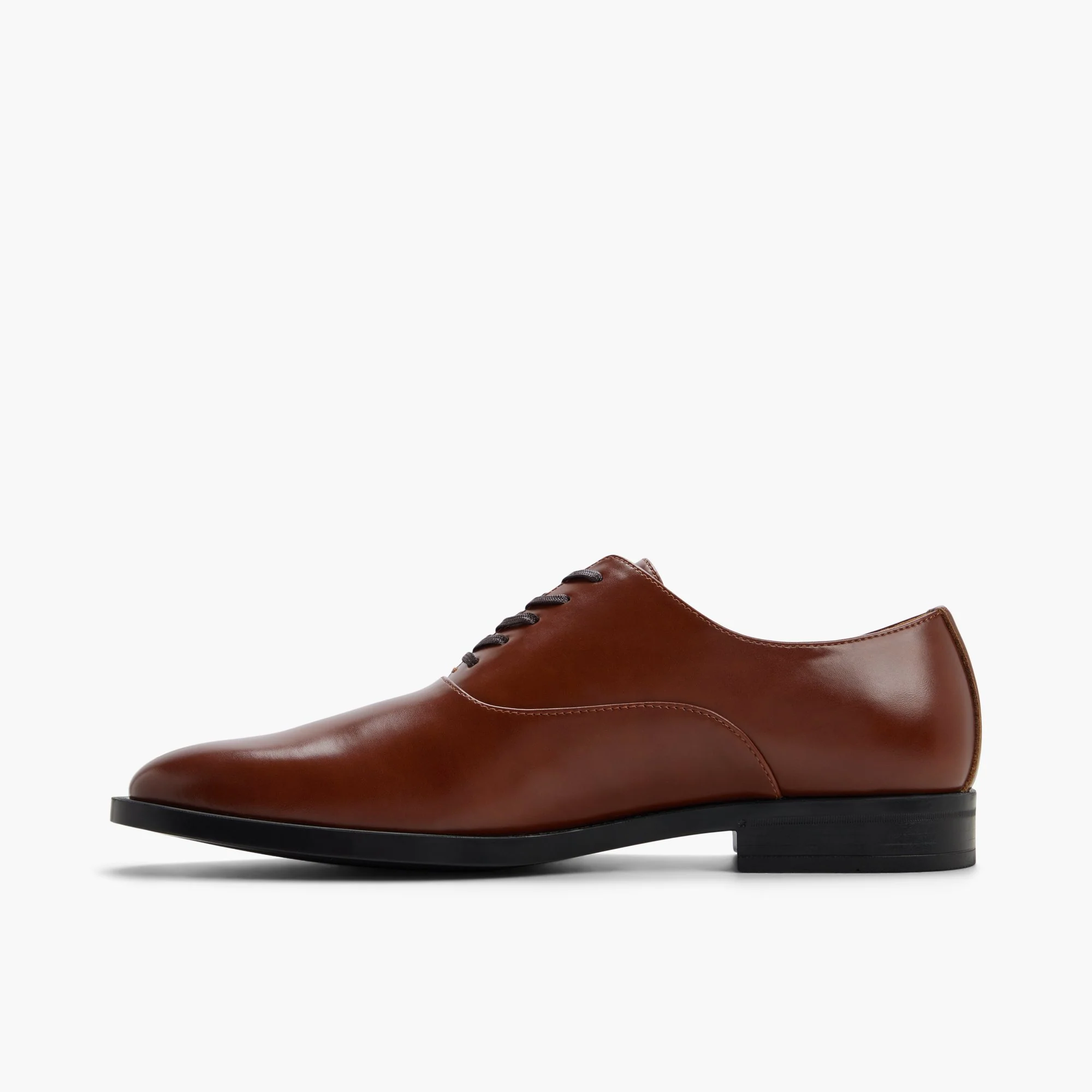 Caraway - Image 3