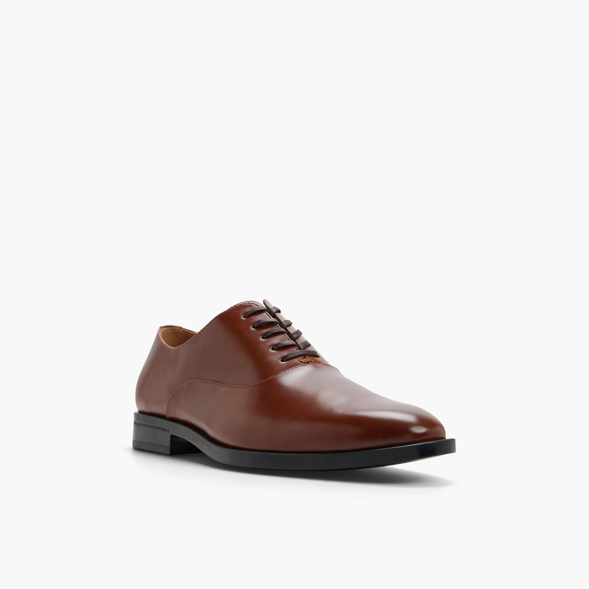 Caraway - Image 4
