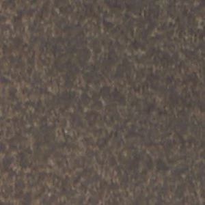Carolyne - Image 2