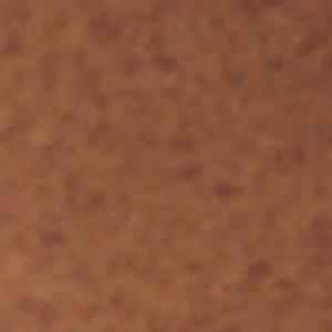 Casablancaaa - Image 2