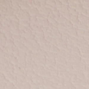 Cassiee - Image 2