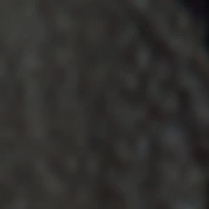 Celesty - Image 6