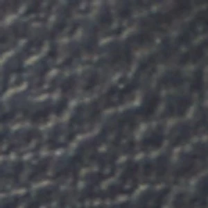 Dianah - Image 2