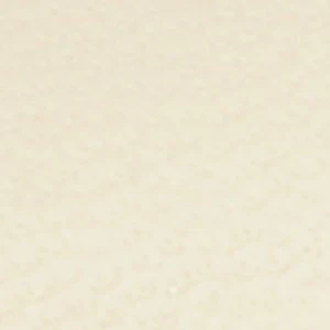 Dorothyy - Image 7