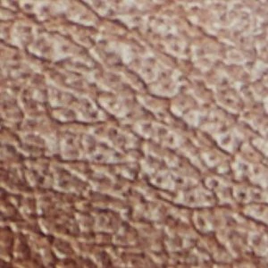 Eastman - Image 8