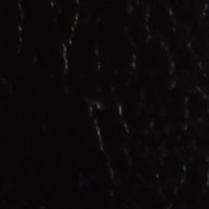 Elaraa - Image 2