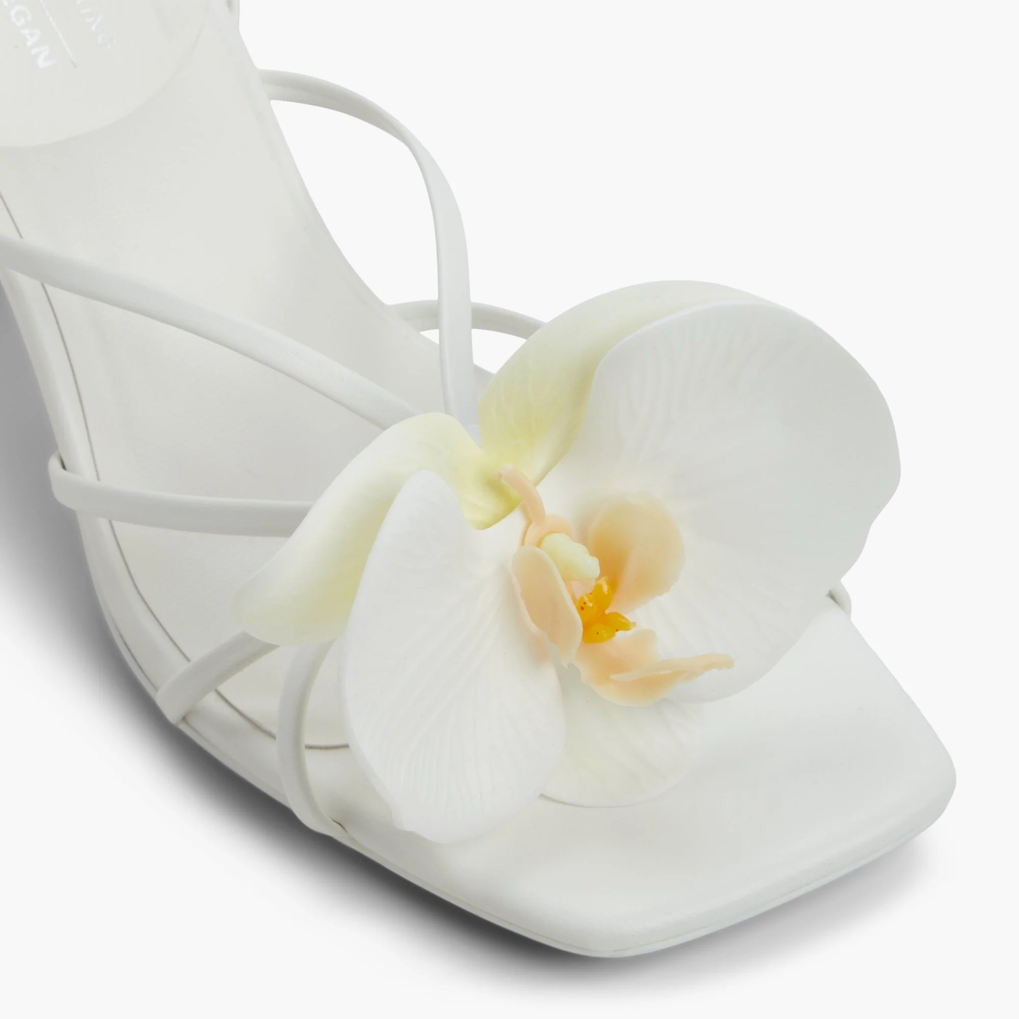 Flourish - Image 6
