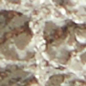 Gemmma - Image 2