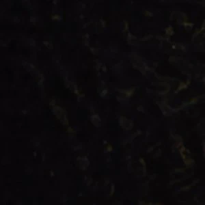 Izadoraa - Image 2