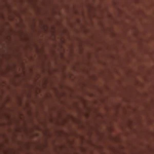 Johannah - Image 2