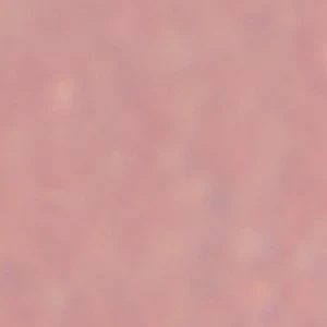 Mariposaa - Image 2