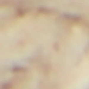 Moaana - Image 2