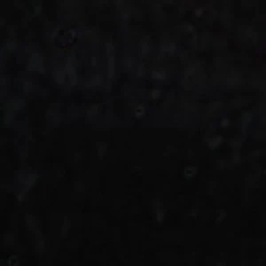 Muriel - Image 2