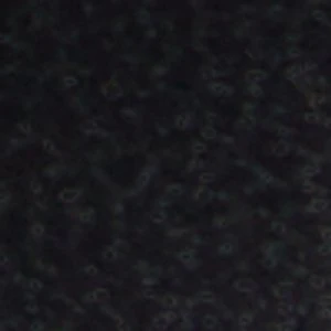 Nevra - Image 2
