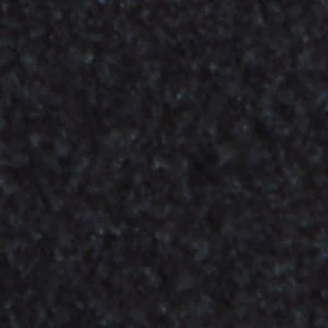 Pantheraa - Image 2