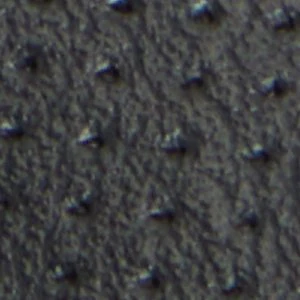 Poirier - Image 2