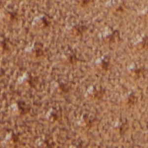 Poirier - Image 2