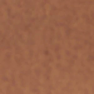 Ravenna - Image 2