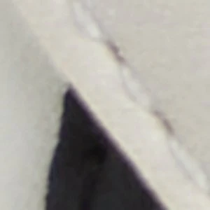 Salome - Image 2
