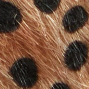 Solae - Image 2