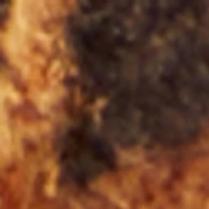 Talita - Image 2