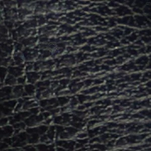Tiffani - Image 2