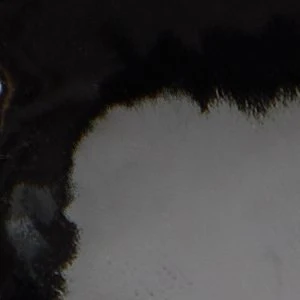 Tiiana - Image 2