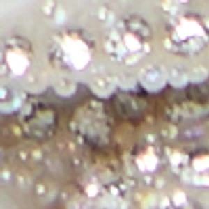 Veronna - Image 2