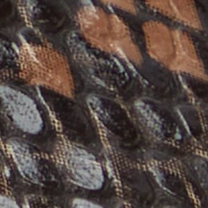 Wilshire - Image 2