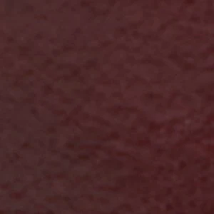 Xeniaa - Image 2