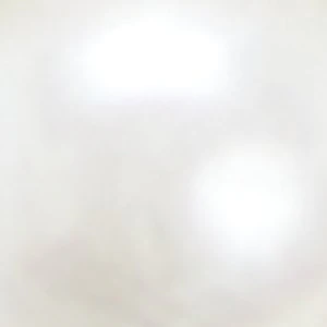 Zalani - Image 7
